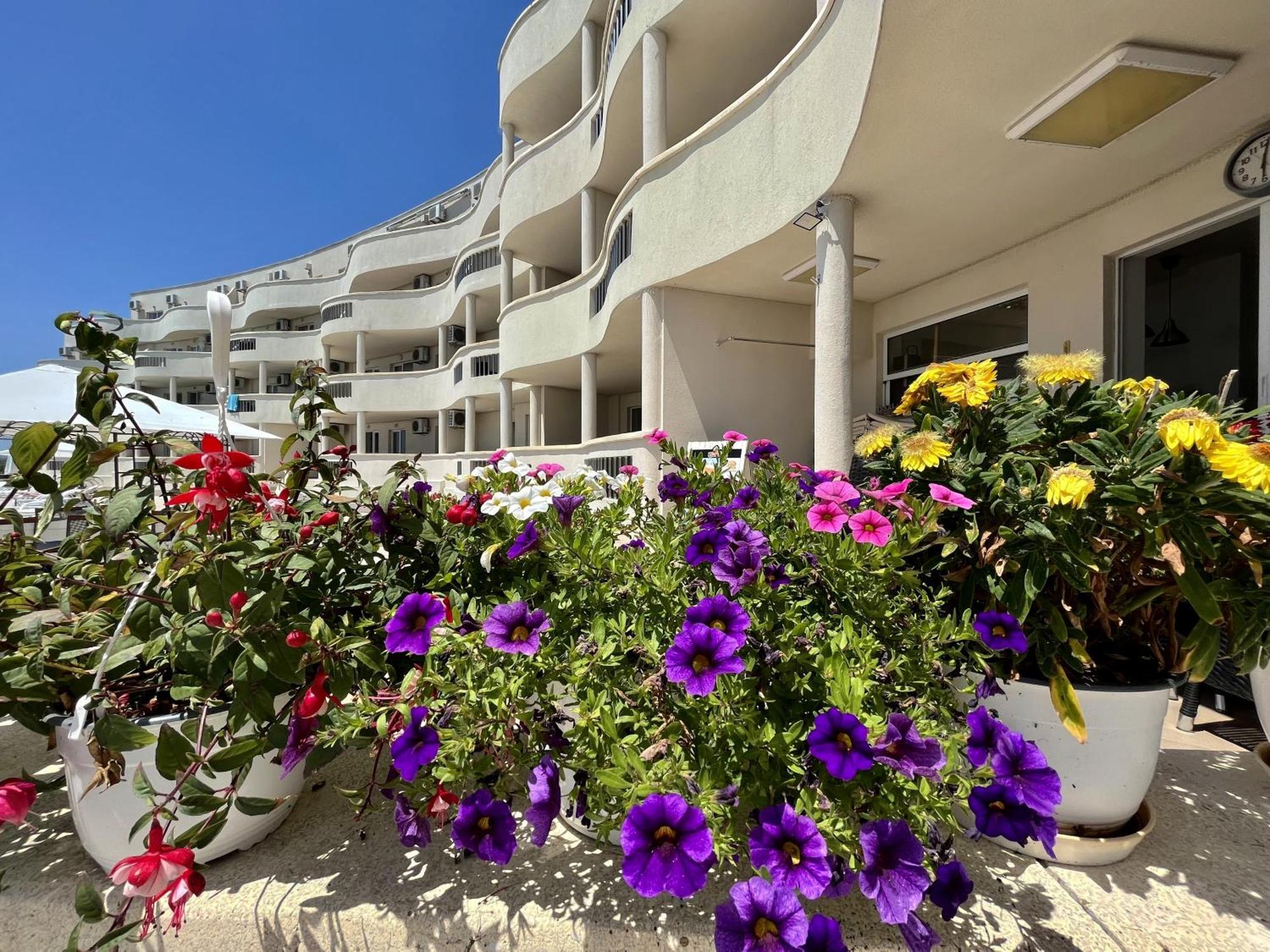 Апартаменти Сънбрийз - Sunbreeze Apartments Byala  Extérieur photo